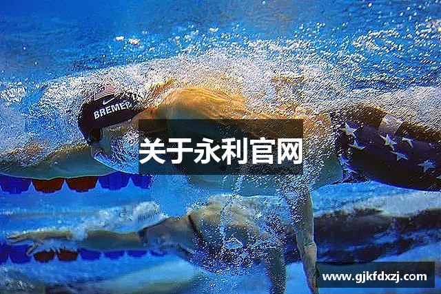 关于永利官网